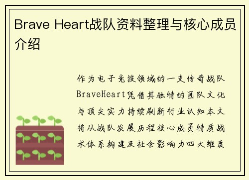 Brave Heart战队资料整理与核心成员介绍