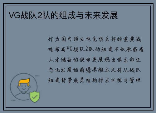 VG战队2队的组成与未来发展